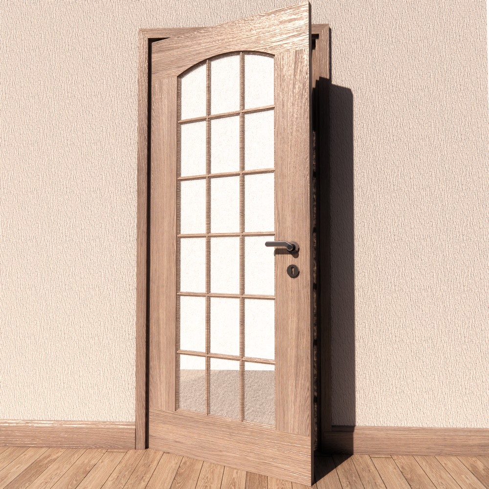 Door 3D model large preview