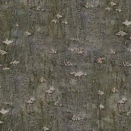 Bark