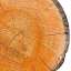 Log