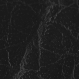 Leather
