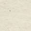 Paper
