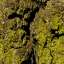 Bark