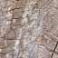 Bark