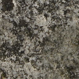 Stone