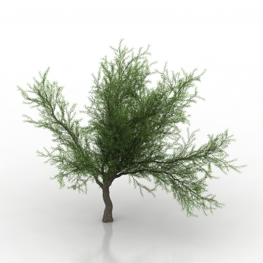 Tree 3D model large preview