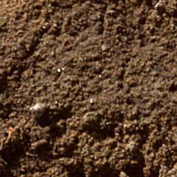 Ground