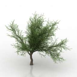 3D Tree preview