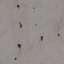 Concrete