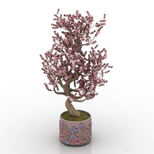 Plant 3D model large preview