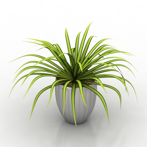 Plant 3D model large preview