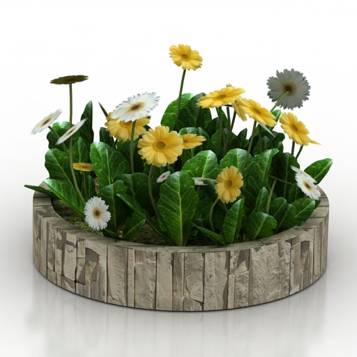 Flowers 3D model large preview