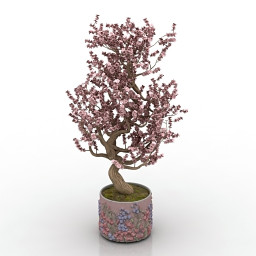 3D Plant preview