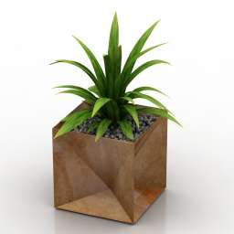 3D Plant preview