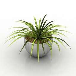 3D Plant preview