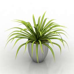 3D Plant preview