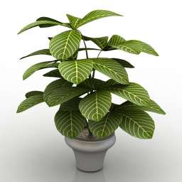 3D Plant preview