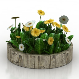 3D Flowers preview