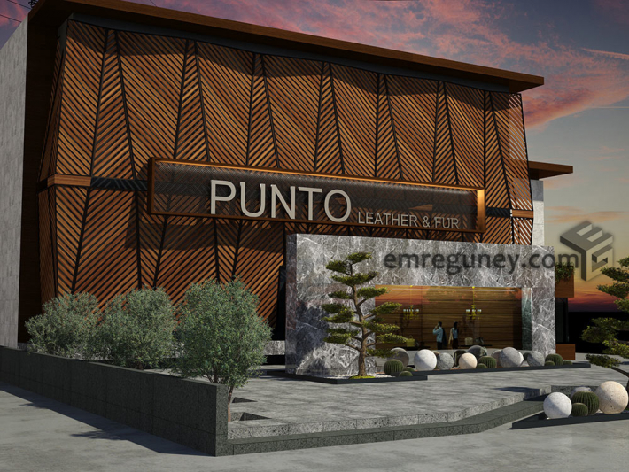 Architectural Home Design