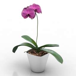 3D Plant preview