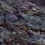 Coal