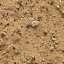 Sand
