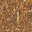 Ground