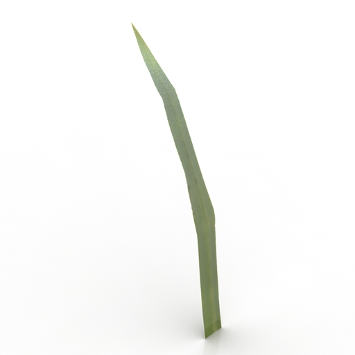 Grass 3D model large preview