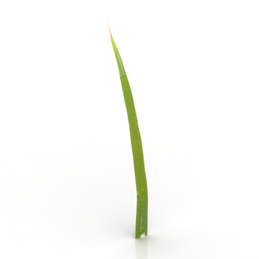 Grass 3D model large preview