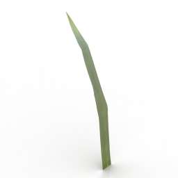 3D Grass preview