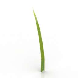 3D Grass preview