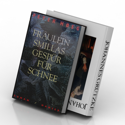 Books 3D model large preview