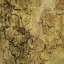 Bark