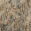 Bark