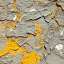 Stucco