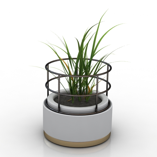 Plant 3D model large preview