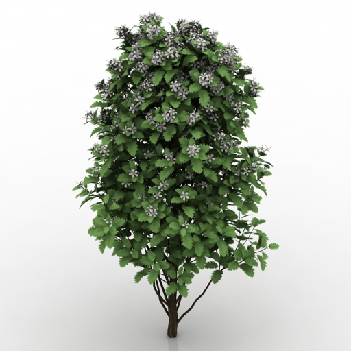 Bush 3D model large preview