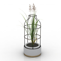 3D Plant preview