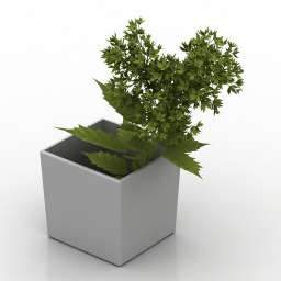 3D Vase preview