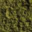 Moss
