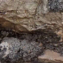 Stone