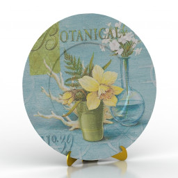 3D Plate preview