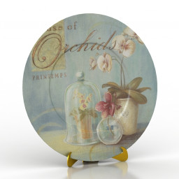 3D Plate preview