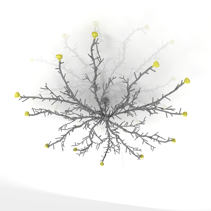 luster pieter adam - twiggy chandelier 3D Model Preview #bd9ee383