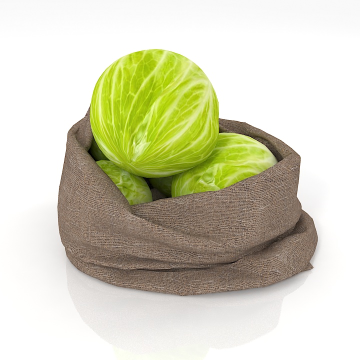 sack cabbage 1 3D Model Preview #96b6350b