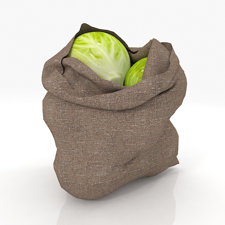 Sack 3D model large preview