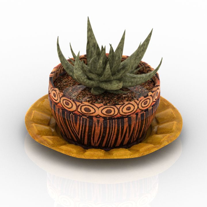 haworthia plant 3D Model Preview #8e052a38