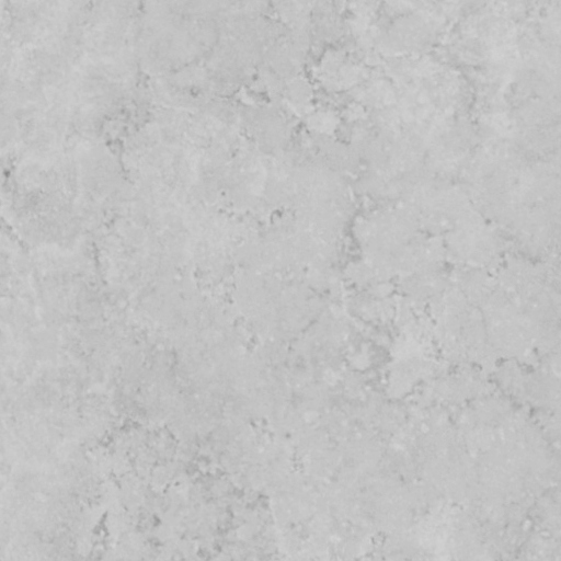 Stucco