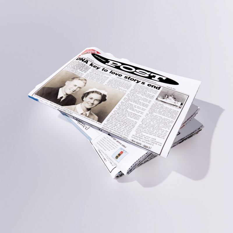 Newspapers 3D model large preview
