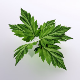 Download 3d cad models, 3d max textures, 3d help