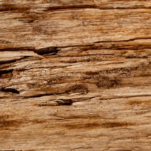 Wood
